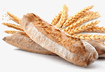 products1.png
